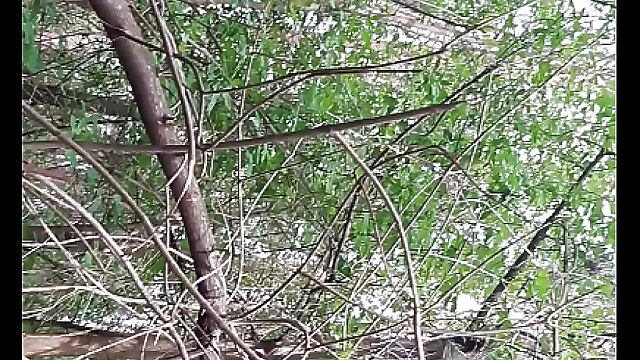 Passers by, wood place, оргазм, lesbian orgasm masturbate, lesbian porn unknown